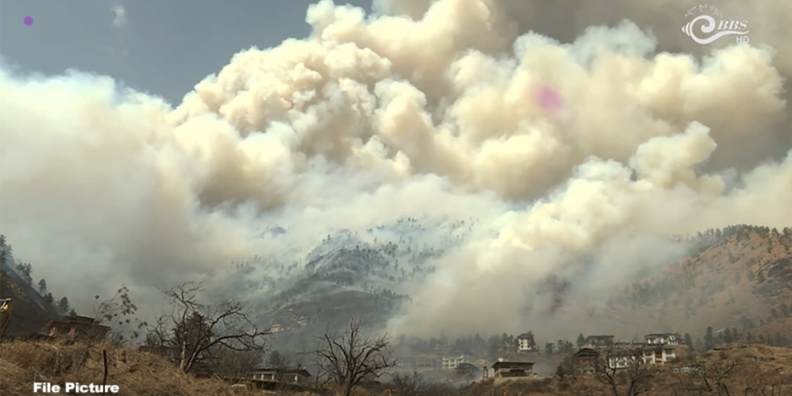 Forest fire incidents drop this dry season